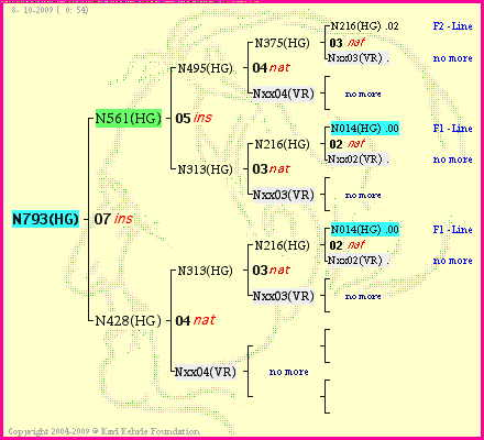 Pedigree of N793(HG) :
four generations presented