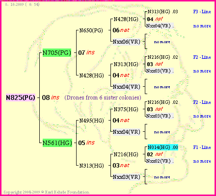 Pedigree of N825(PG) :
four generations presented