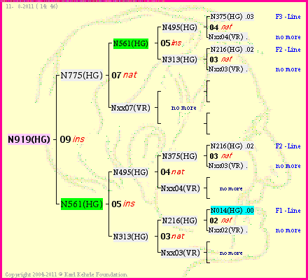 Pedigree of N919(HG) :
four generations presented