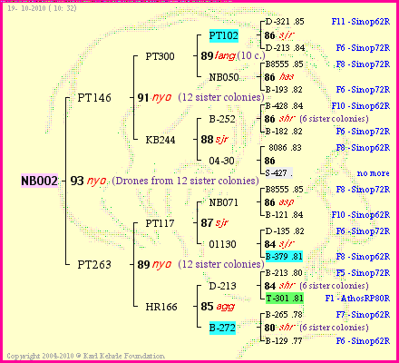 Pedigree of NB002 :
four generations presented