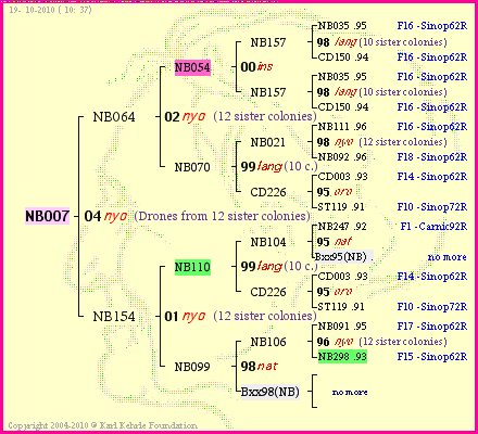 Pedigree of NB007 :
four generations presented