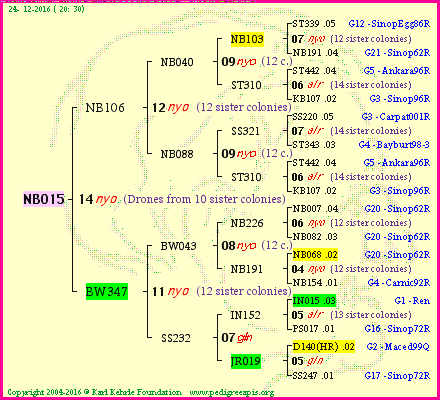 Pedigree of NB015 :
four generations presented