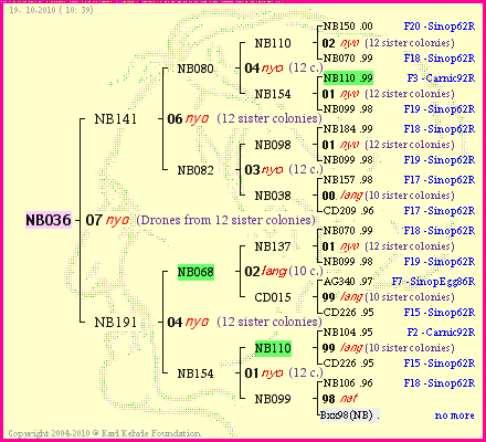 Pedigree of NB036 :
four generations presented