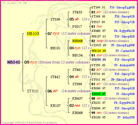 Pedigree of NB040 :
four generations presented