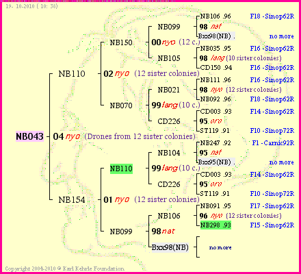 Pedigree of NB043 :
four generations presented