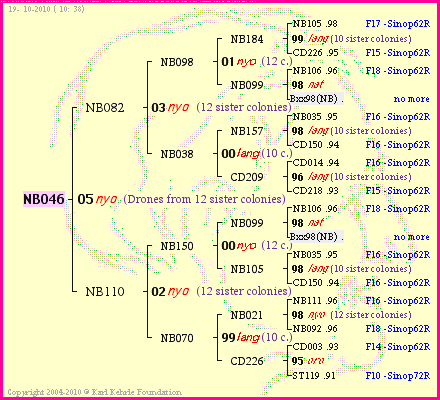 Pedigree of NB046 :
four generations presented