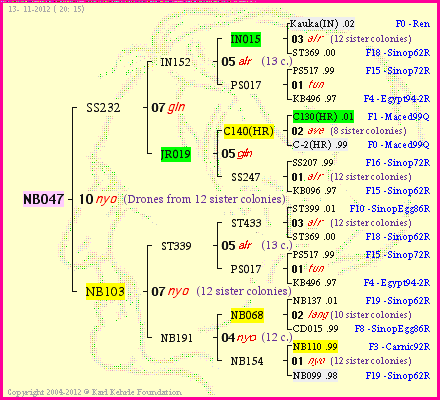 Pedigree of NB047 :
four generations presented