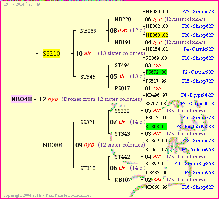 Pedigree of NB048 :
four generations presented