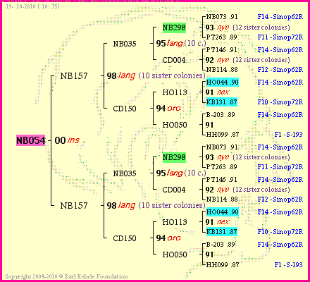 Pedigree of NB054 :
four generations presented