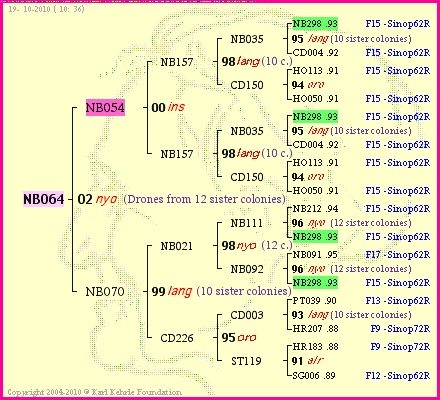 Pedigree of NB064 :
four generations presented