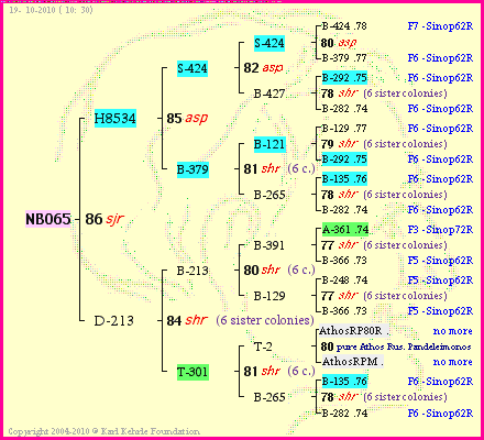 Pedigree of NB065 :
four generations presented
it's temporarily unavailable, sorry!