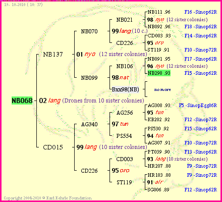 Pedigree of NB068 :
four generations presented