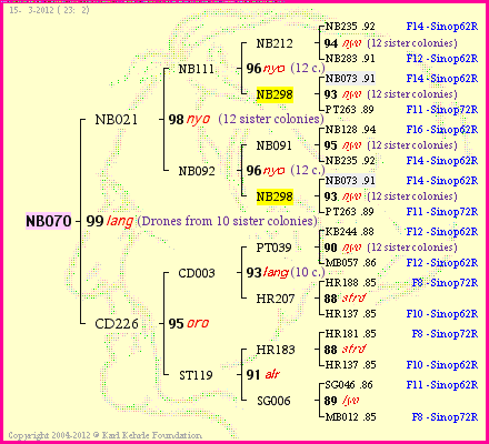 Pedigree of NB070 :
four generations presented<br />it's temporarily unavailable, sorry!