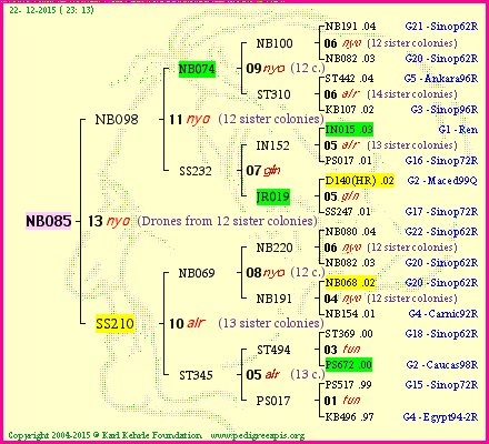 Pedigree of NB085 :
four generations presented