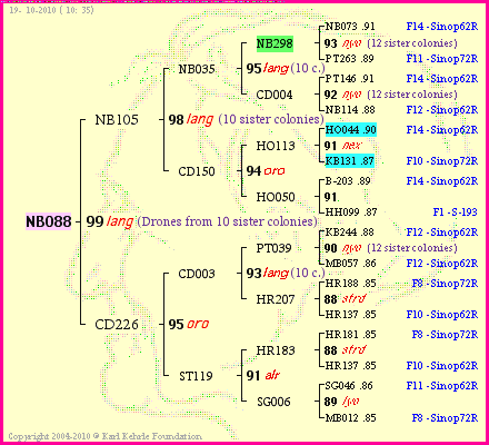 Pedigree of NB088 :
four generations presented