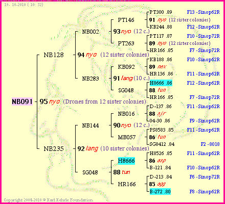 Pedigree of NB091 :
four generations presented