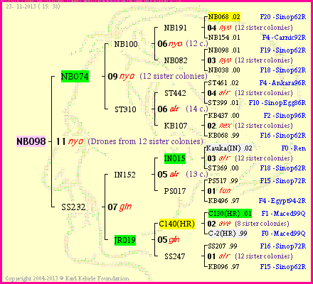 Pedigree of NB098 :
four generations presented