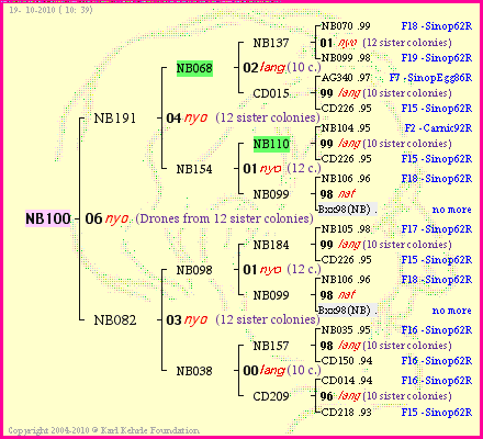 Pedigree of NB100 :
four generations presented