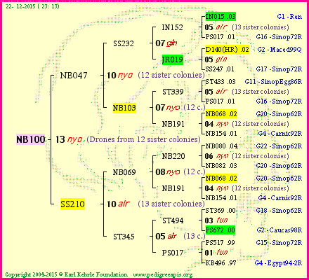 Pedigree of NB100 :
four generations presented