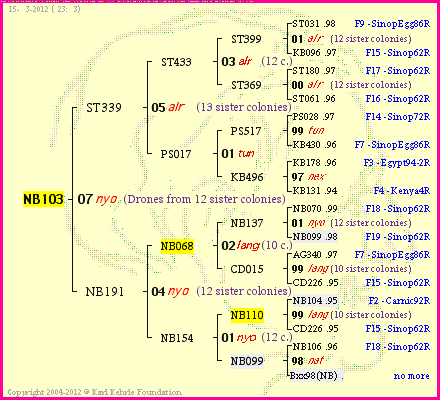 Pedigree of NB103 :
four generations presented<br />it's temporarily unavailable, sorry!