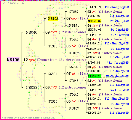 Pedigree of NB106 :
four generations presented