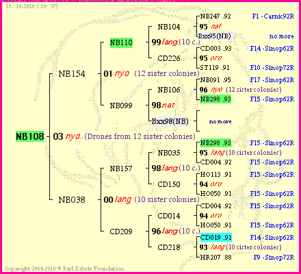 Pedigree of NB108 :
four generations presented