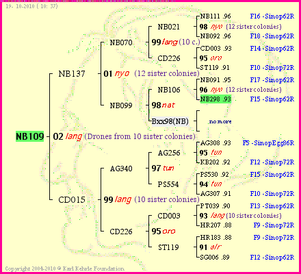 Pedigree of NB109 :
four generations presented