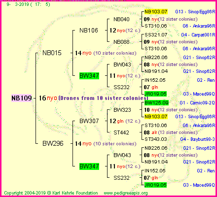 Pedigree of NB109 :
four generations presented<br />it's temporarily unavailable, sorry!