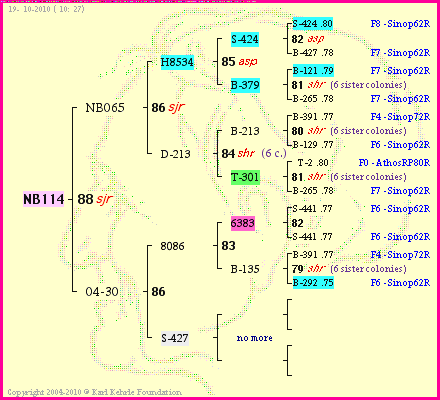 Pedigree of NB114 :
four generations presented<br />it's temporarily unavailable, sorry!