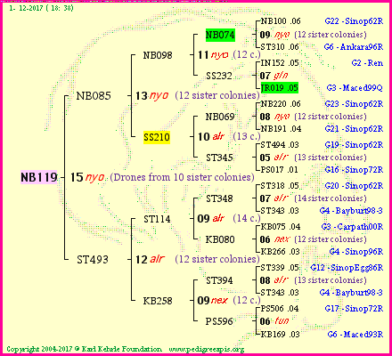 Pedigree of NB119 :
four generations presented