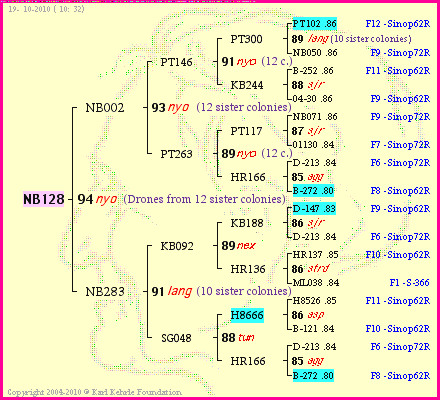 Pedigree of NB128 :
four generations presented