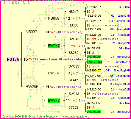 Pedigree of NB136 :
four generations presented<br />it's temporarily unavailable, sorry!