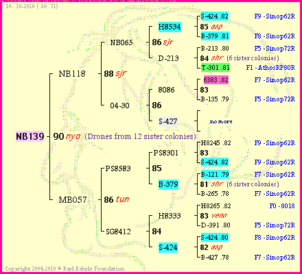 Pedigree of NB139 :
four generations presented