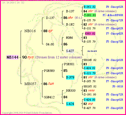 Pedigree of NB144 :
four generations presented