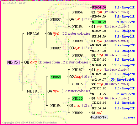 Pedigree of NB151 :
four generations presented