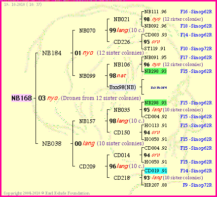 Pedigree of NB168 :
four generations presented