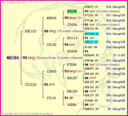 Pedigree of NB184 :
four generations presented