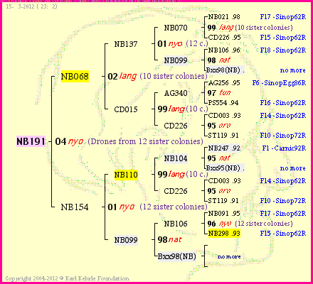 Pedigree of NB191 :
four generations presented<br />it's temporarily unavailable, sorry!