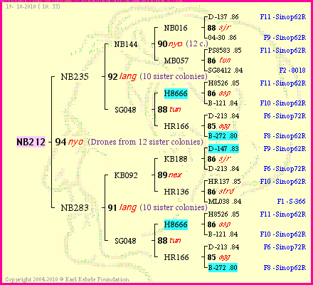 Pedigree of NB212 :
four generations presented