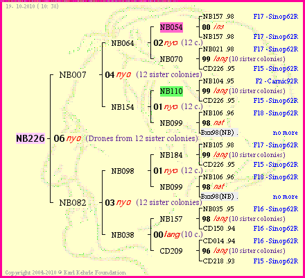 Pedigree of NB226 :
four generations presented