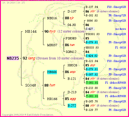 Pedigree of NB235 :
four generations presented<br />it's temporarily unavailable, sorry!