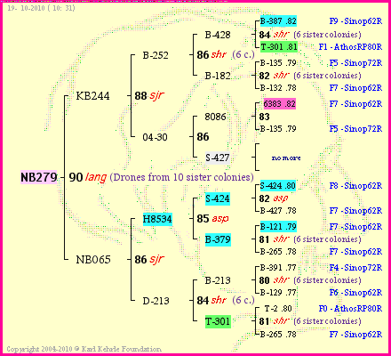 Pedigree of NB279 :
four generations presented