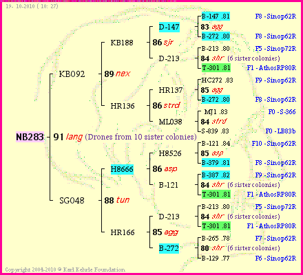 Pedigree of NB283 :
four generations presented<br />it's temporarily unavailable, sorry!