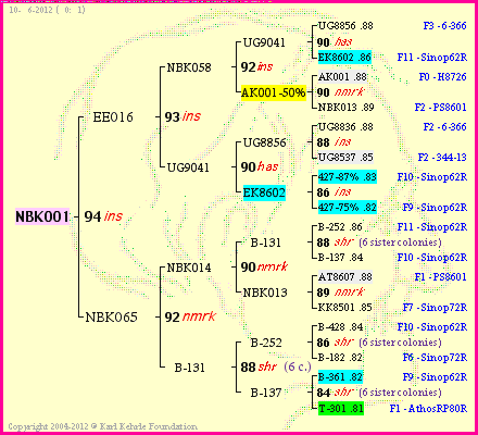 Pedigree of NBK001 :
four generations presented