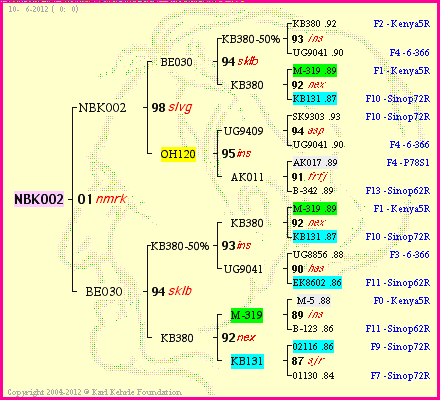 Pedigree of NBK002 :
four generations presented