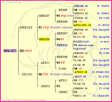 Pedigree of NBK005 :
four generations presented