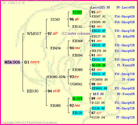 Pedigree of NBK006 :
four generations presented