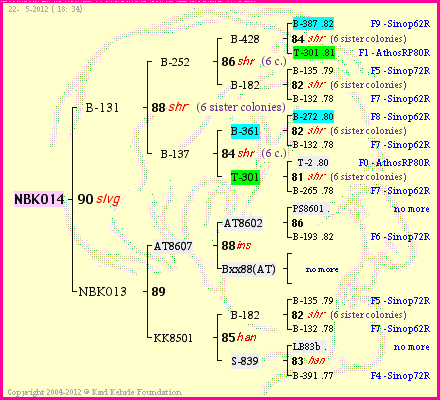 Pedigree of NBK014 :
four generations presented