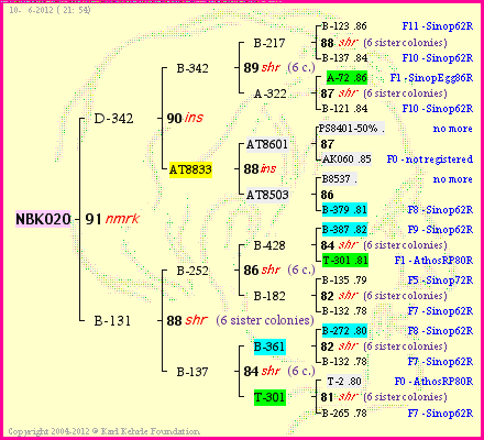 Pedigree of NBK020 :
four generations presented