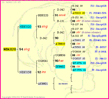 Pedigree of NBK020 :
four generations presented